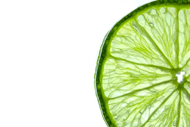 Palmerandix contacto